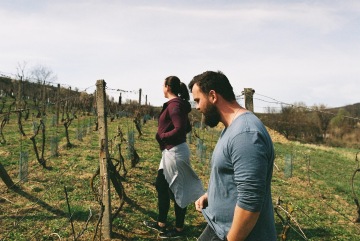 Degustace: Vinařství Bystřický